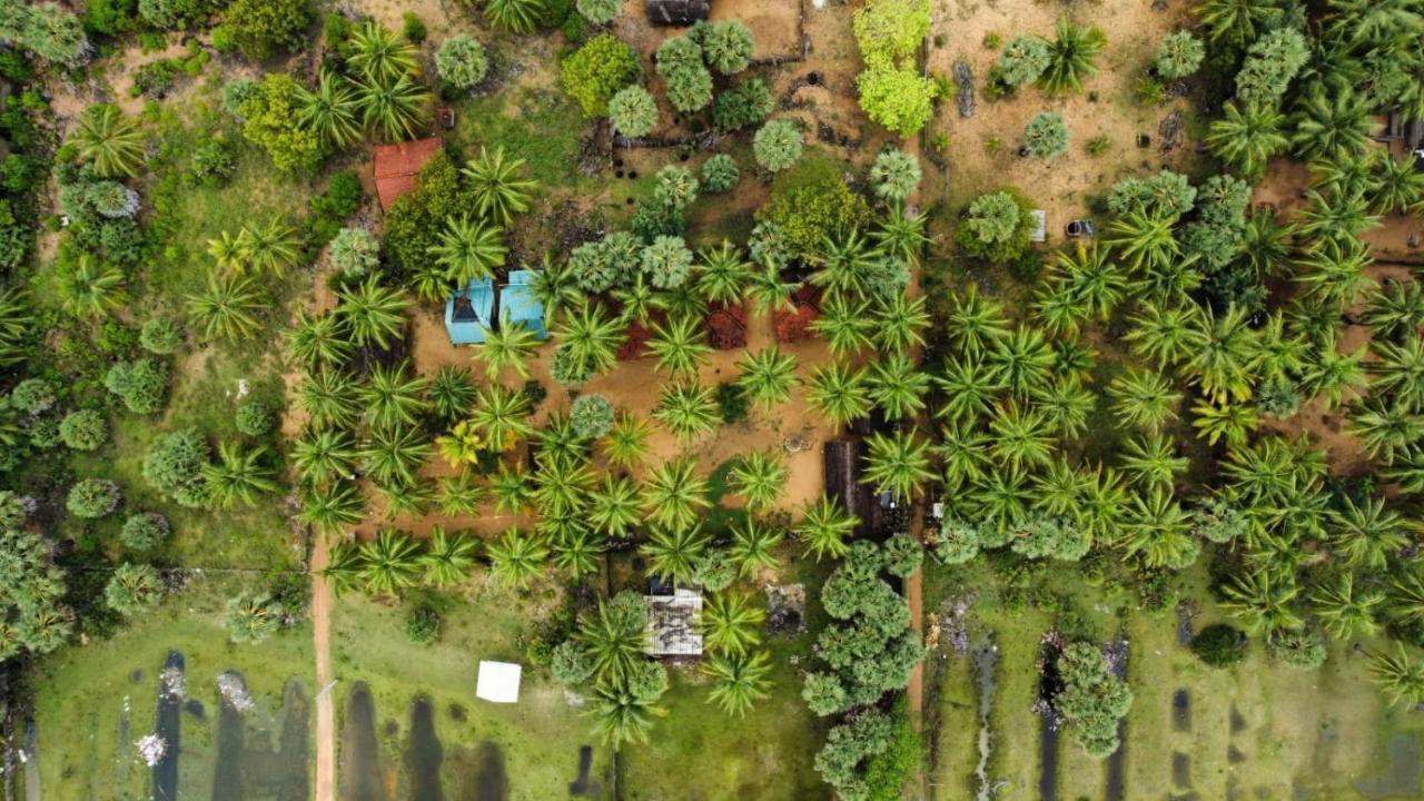 Araliya Villa Kalpitiya Buitenkant foto