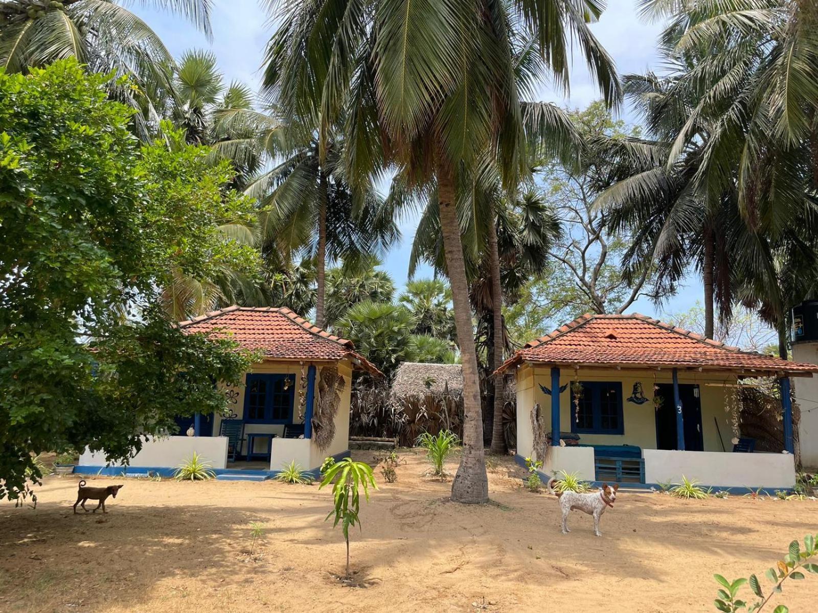 Araliya Villa Kalpitiya Buitenkant foto