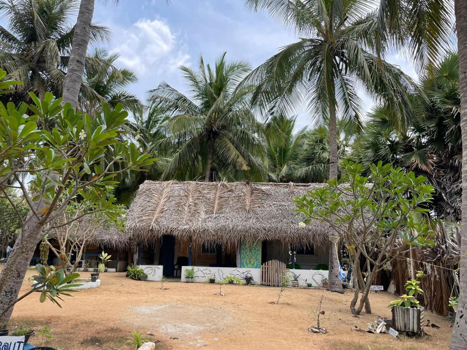 Araliya Villa Kalpitiya Buitenkant foto