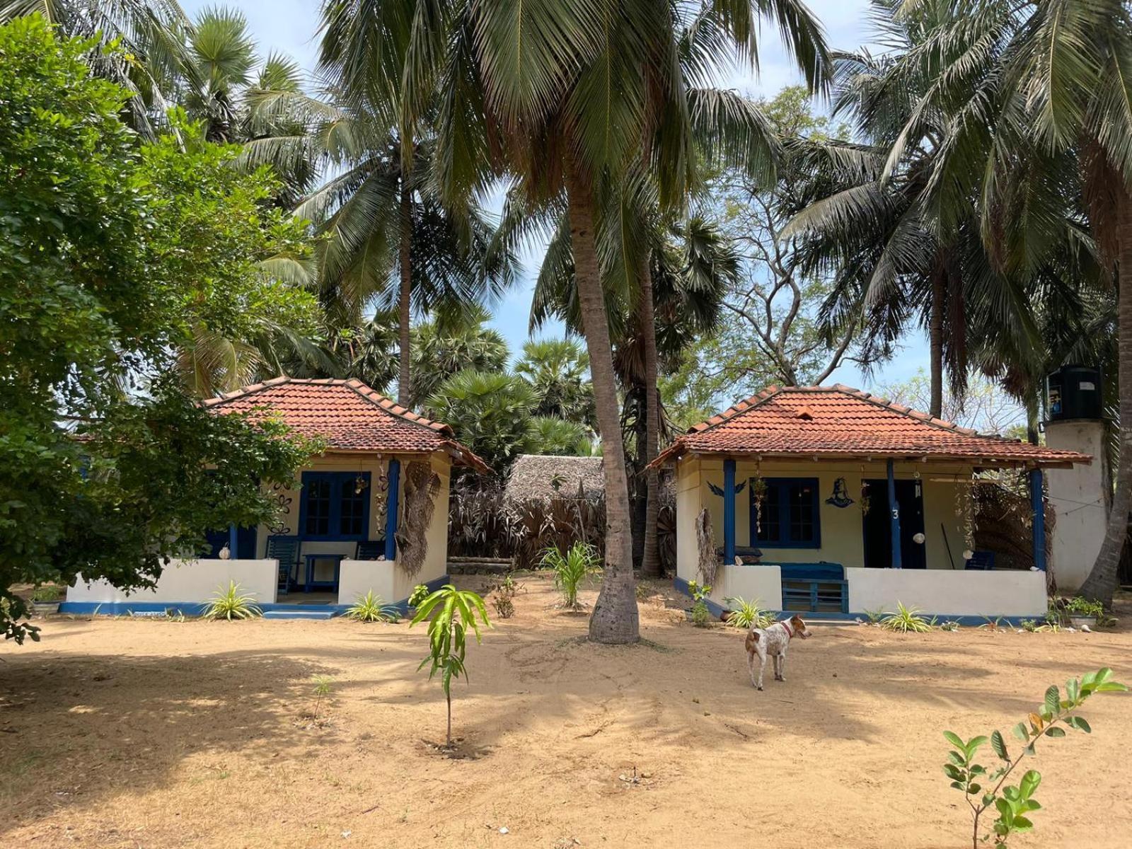 Araliya Villa Kalpitiya Kamer foto